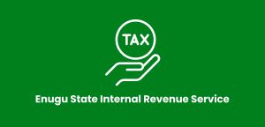 Enugu-State-Internal-Revenue-Service_E_Governance-300x144 222